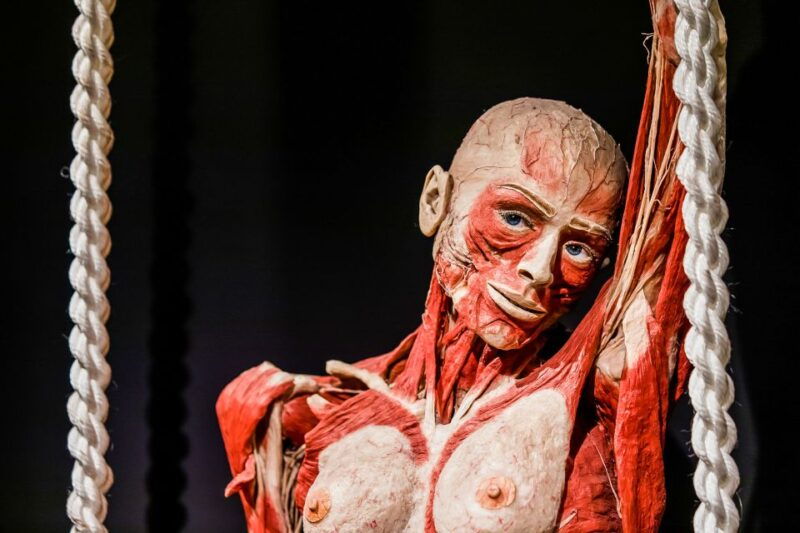 body-worlds-amsterdam-the-happiness-project-ticket