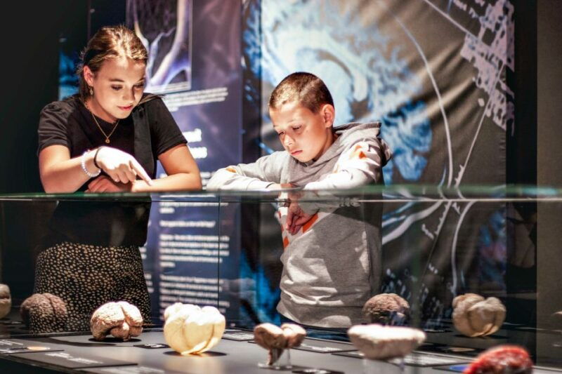 body-worlds-amsterdam-the-happiness-project-ticket