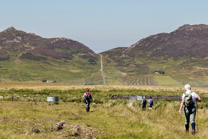 bog-safari-hike