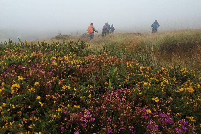 bog-safari-hike