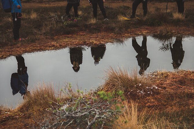bog-shoe-hiking-tour