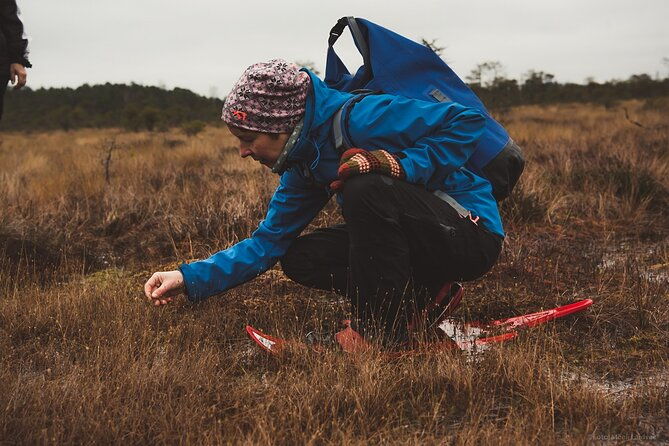 bog-shoe-hiking-tour