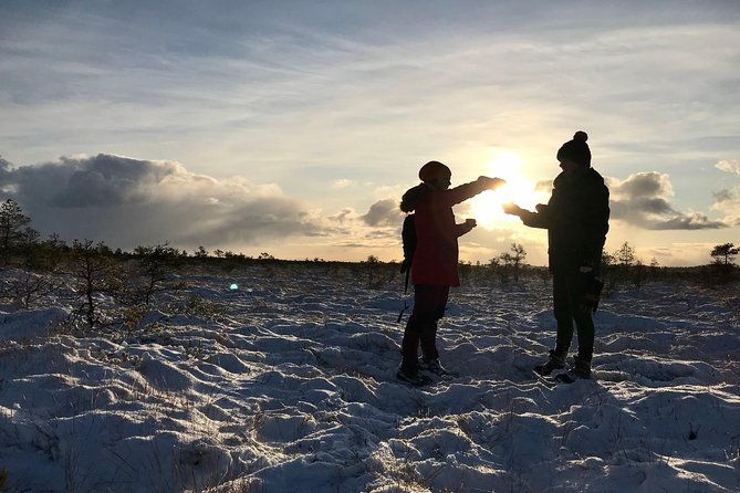 bog-shoe-hiking-tour