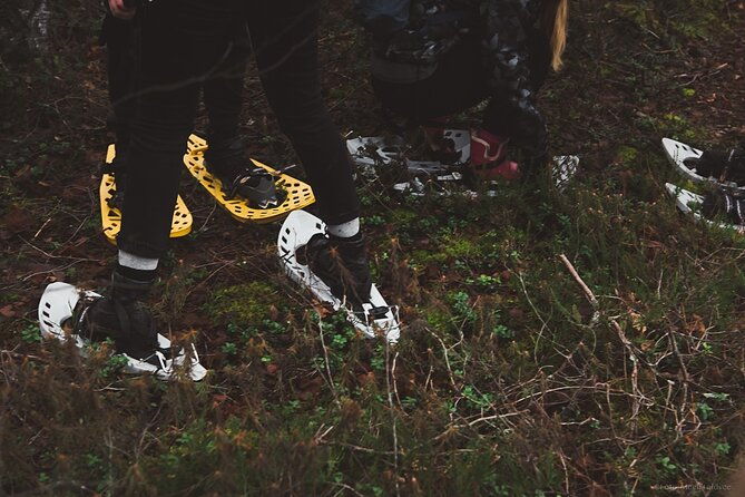 bog-shoe-hiking-tour