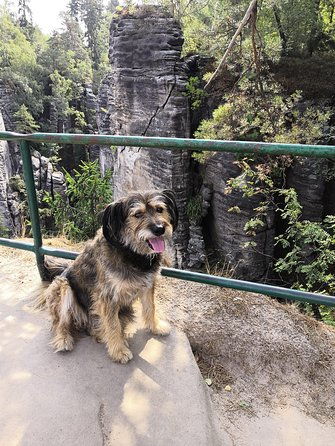 bohemian-paradise-czech-paradise-unesco-geopark-nature-walks