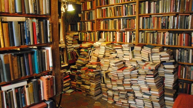 bohemian-paris-tour-by-night