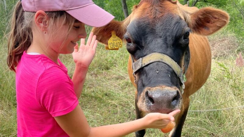 Bohemian Uplands: Garnet panning, Farm & Local Lunch&Beer - Additional Active and Cultural Stops