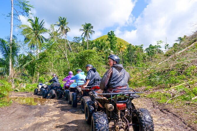 Bohol Airport or Tagbilaran Seaport Private Transfer (one-way) - The Vehicles and Comfort Level