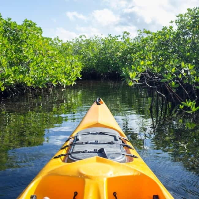 Bohol: Alburquerque Recreational Tour - Overview of the Experience