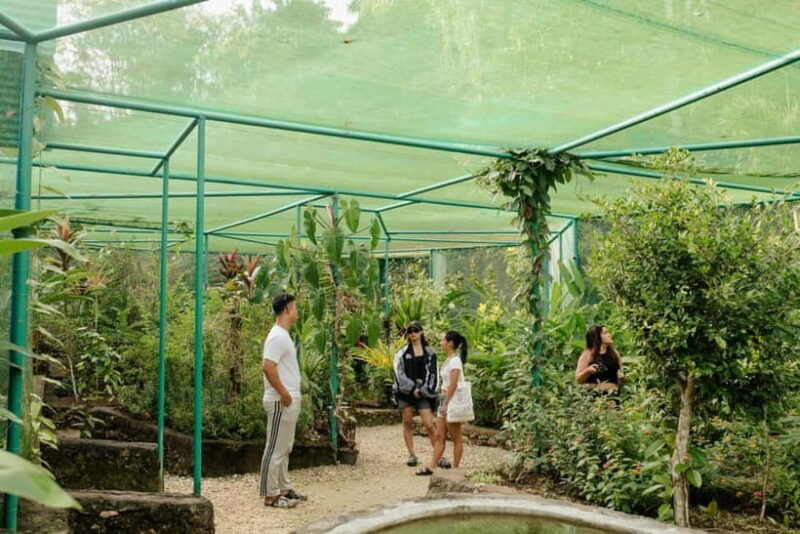 Bohol and Siquijor: 5-Day Guided Trip - Discovering Bohol: Land of Natural Wonders and Cultural Gems