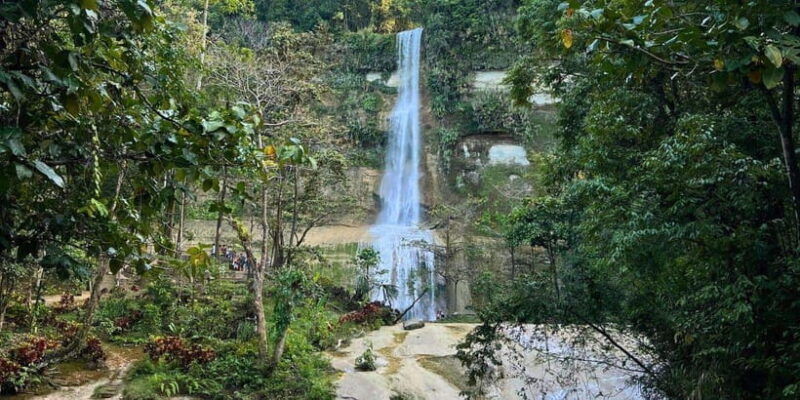 bohol-anda-candijay-with-alicia-panoramic-park-private-tour
