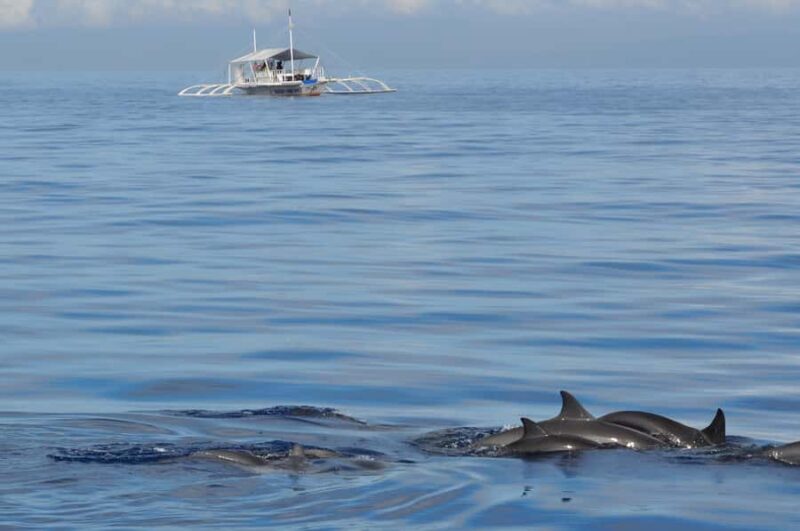 Bohol: Balicasag Boat Tour with extra snorkeling time - The Value and Practical Details