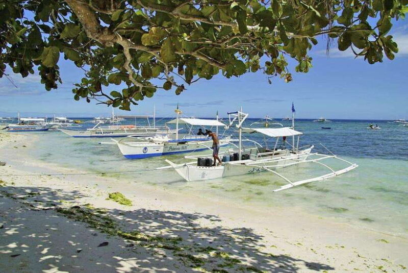 bohol-balicasag-is-private-tour-and-dolphin-watching