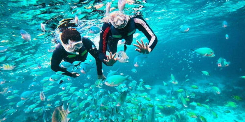 bohol-balicasag-shared-island-hopping-tour