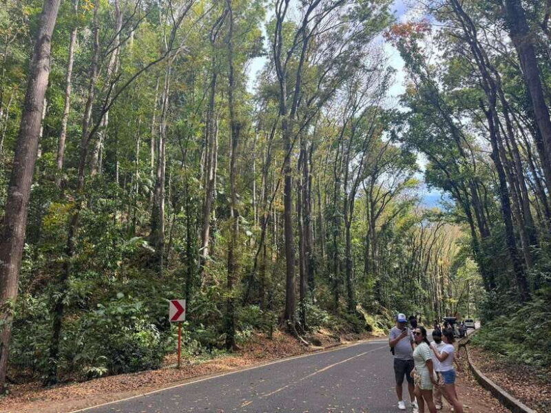 bohol-budgeted-countryside-with-buffet-lunch-private-tour