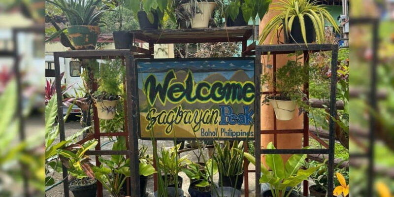 bohol-chocolate-hills-tarsiers-asin-tibuok-private-tour