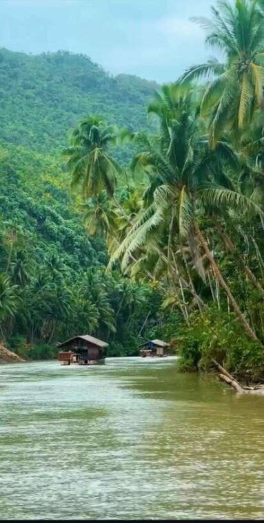 bohol-chocolate-hills-tarsiers-loboc-river
