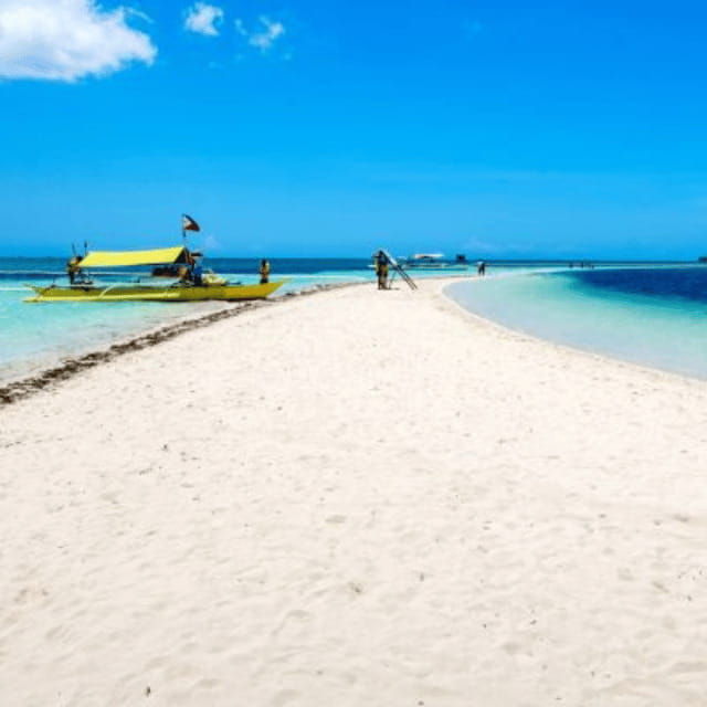 bohol-dolphin-watching-balicasag-island-hopping-tour