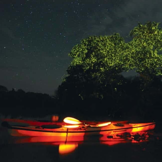 Bohol: Firefly Watching Shared Tour - Why This Tour Offers Good Value