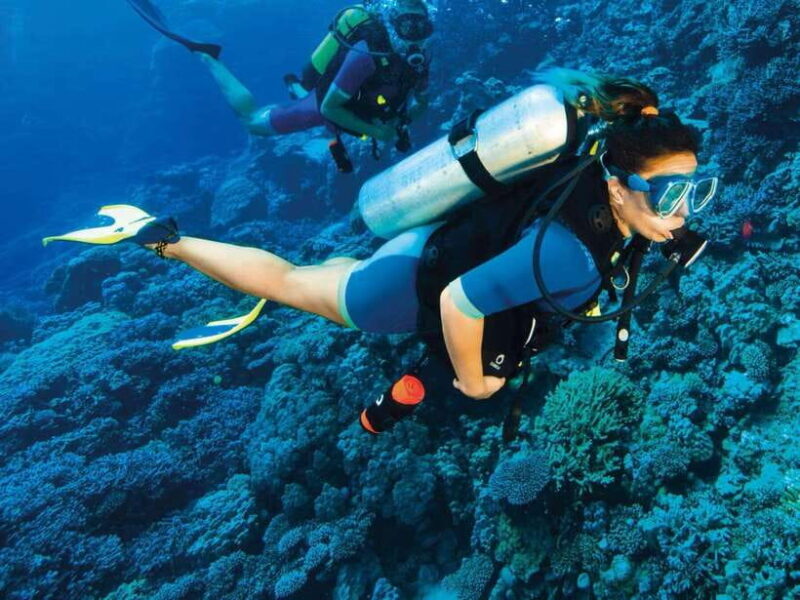 Bohol: First-Time Scuba Dive - No Experience Needed - Who Will Love This Tour?