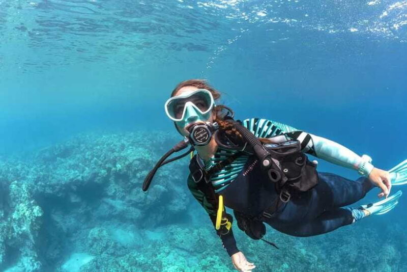 Bohol: First-Time Scuba Dive - No Experience Needed - The Sum Up