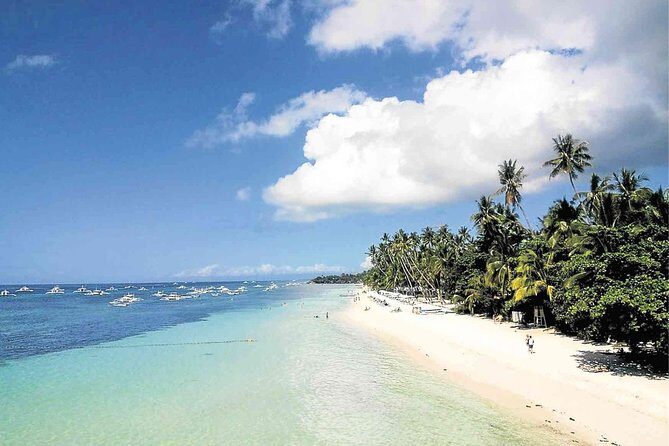 Bohol Full Package: 4 Days 3 Nights - Transportation, Pricing, and Overall Value