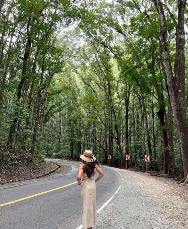 Bohol: Guided Chocolate Hills & Tarsiers Tour - Exploring the Itinerary in Detail