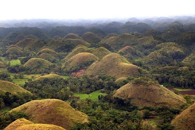 Bohol Highlights Tour: Chocolate Hills, Tarsier Spotting and Loboc River Cruise - What Makes This Tour Stand Out