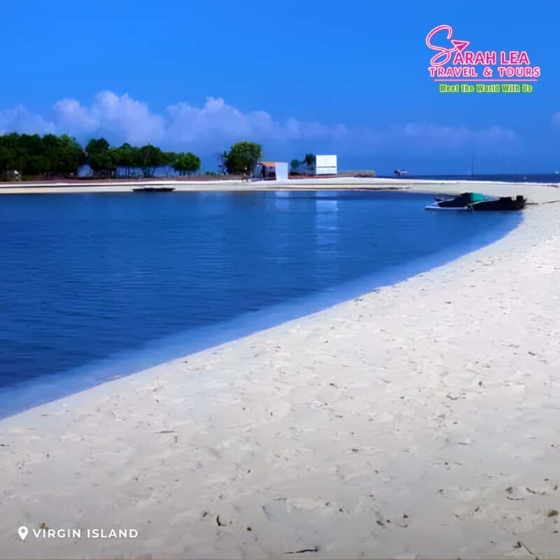 Bohol: Island Hopping with Dolphins, Turtles & Snorkeling - Key Points