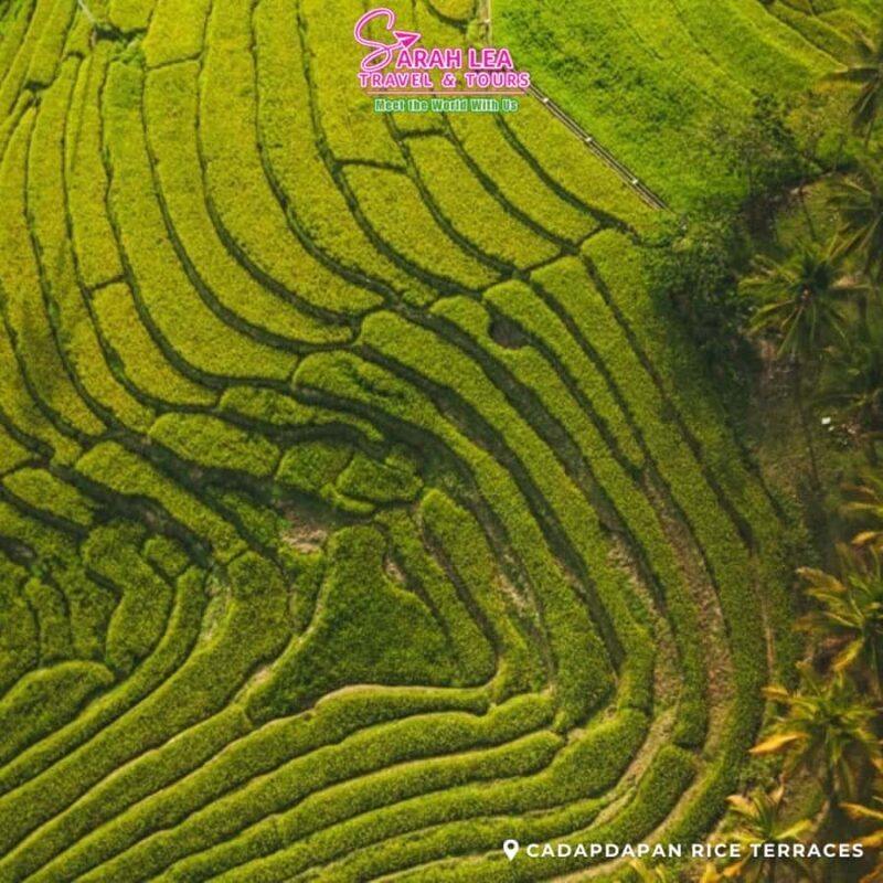 Bohol: Nature Discovery & Coastal Adventure Experience - Key Points