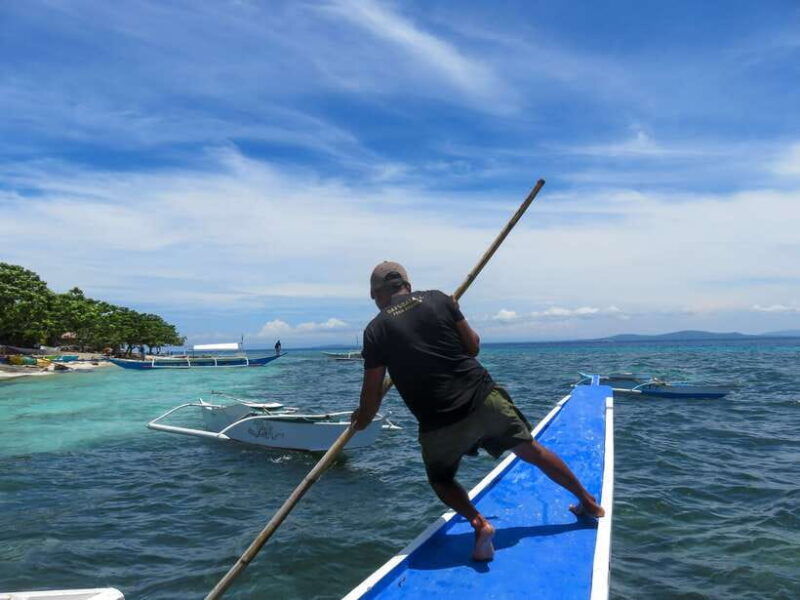 bohol-pamilacan-island-dolphin-turtle-watching-tour-lunch