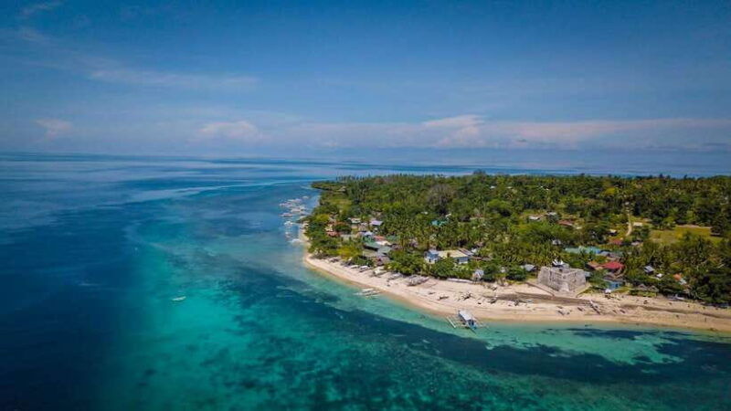 bohol-pamilacan-island-dolphin-turtle-watching-tour-lunch