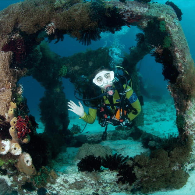 bohol-pamilacan-island-fun-dive-experience