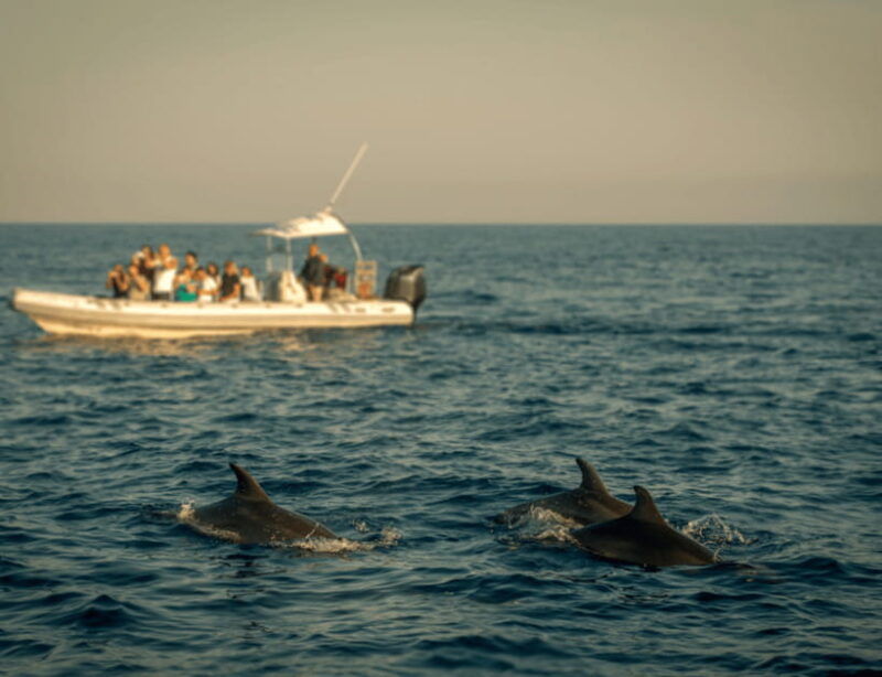 bohol-panglao-island-hopping-dolphin-watching-tour