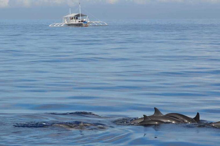 bohol-private-balicasag-tour-with-extra-snorkeling-time
