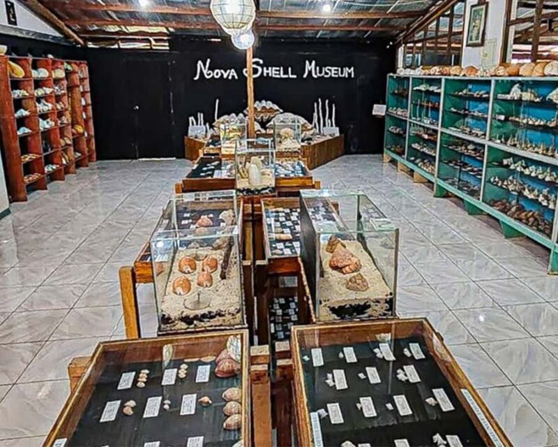 Bohol: PRIVATE Panglao Land Tour - Key Points