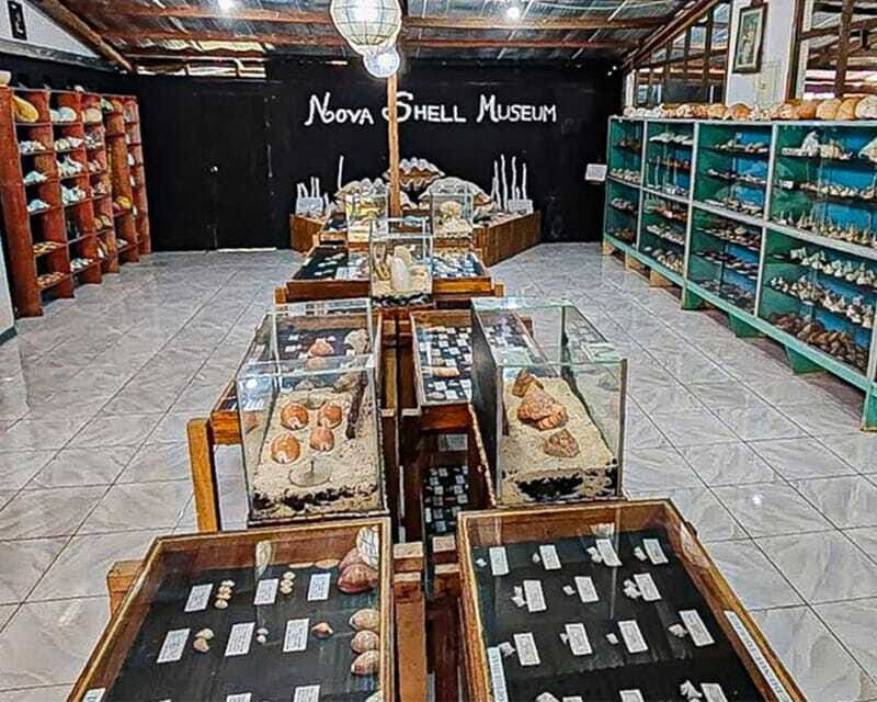 Bohol: PRIVATE Panglao Land Tour - Why Choose This Tour?