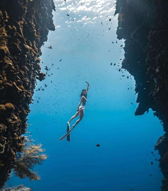 Bohol: Private Sardine Snorkel & Tropical Fish Tour - What to Expect from This Sardine & Tropical Fish Tour