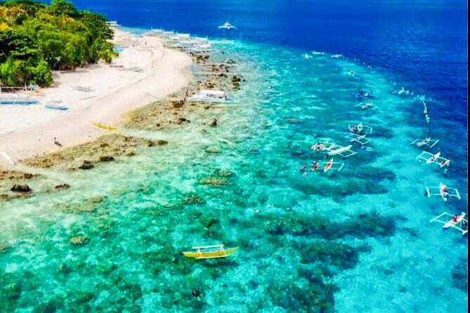 Bohol Province Balicasag Island Day Tour - Final Thoughts