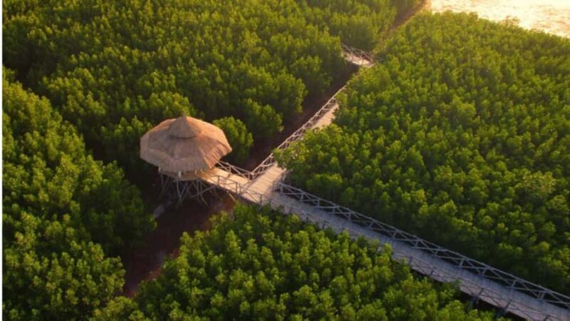 Bohol Sunset & Stories: A Bohol Evening Escape - Final Thoughts: Who Should Consider This Tour?