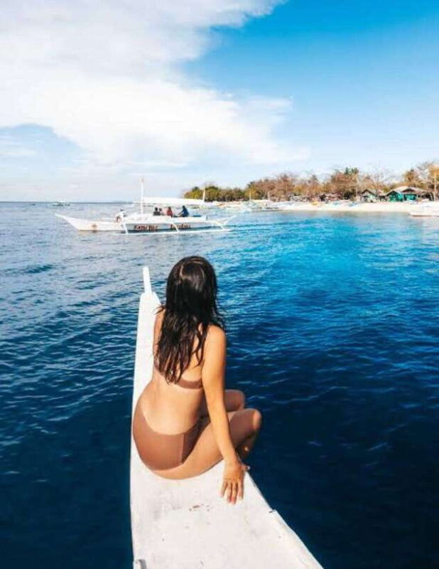 Bohol: Swim with Sea Turtles & Dolphins Island Hopping Tour - Key Points