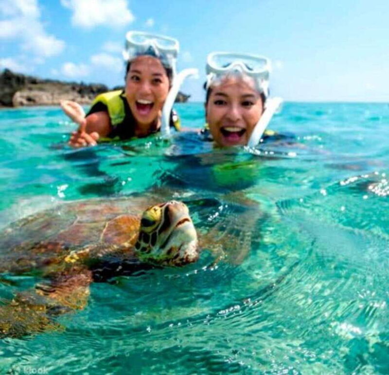 Bohol: Swim with Sea Turtles & Dolphins Island Hopping Tour - Authentic Experiences and Local Flavor