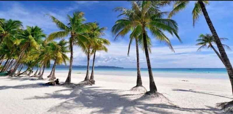 Bohol: Swim with Sea Turtles & Dolphins Island Hopping Tour - Who Will Love This Tour?