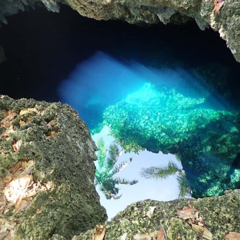 Bohol Waterfalls Adventure - Overview of the Waterfalls Tour