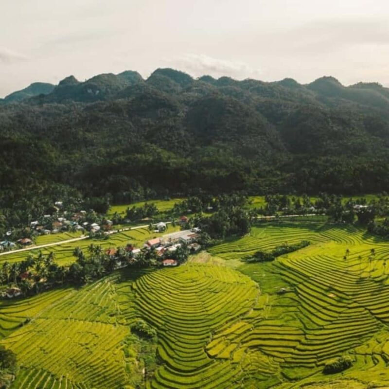 Bohol Waterfalls Adventure - What to Expect from the Tour Experience