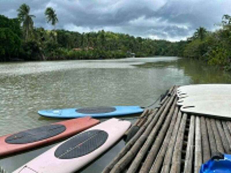 Bohol: Waterfalls, Kayak, Hills Hike, & Tarsier Eco Tour - Who is This Tour Best Suited For?