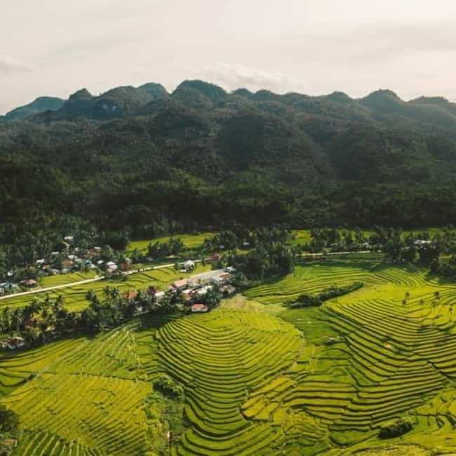 Bohol Waterfalls Tour with Lunch - Key Points