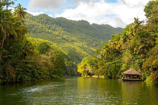Bohol Whaleshark Watching with Loboc River Lunch - FAQs