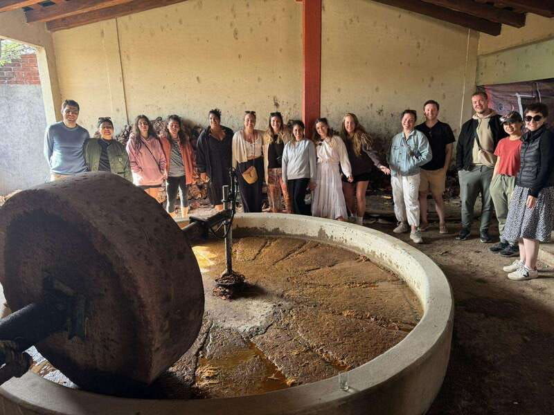 boil-the-water-mitla-tule-tree-tapetes-mezcal-distillery-tour
