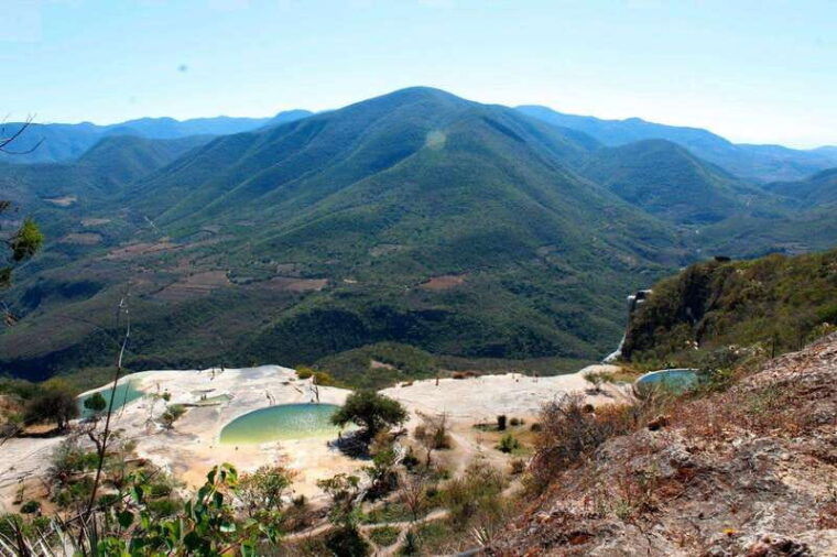 boil-the-water-mitla-tule-tree-tapetes-mezcal-distillery-tour